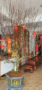 z5125326481459 ca31f12cf758f6eeb5f4364a64ba9796