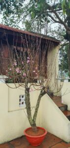 z5125326483674 34dfb4410cc594c7e4d0aa20219939c3