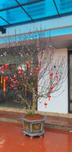 z5125326488557 f4736d5ce2a6c8cbbc2900bc7c2fe88e