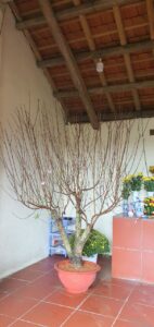 z5125326488827 bf74c9a8725d4646d057d82ed94d24ca