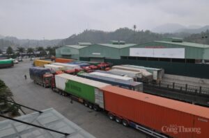 Công ty vận chuyển hàng hóa lạng sơn hà nội