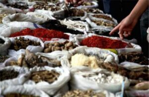 Dịch Vụ Xuất Khẩu Dược Liệu Sang Trung Quốc Tại Lạng Sơn 2 Một số dược liệu xuất khẩu