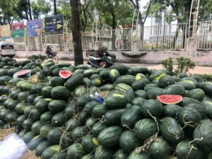 Nông sản xuất khẩu tại Chi Ma Lạng Sơn