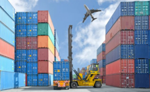 Vai trò và trách nhiệm của xuất nhập khẩu