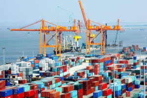 Tạm nhập tái xuất là gì?