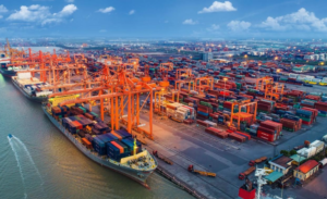 Hình ảnh về tạm nhập tái xuất