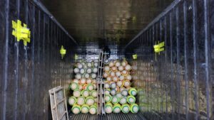 Dịch vụ xuất khẩu dược liệu sang trung quốc tại Chi Ma 4 Dịch vụ xuất khẩu dược liệu sang trung quốc tại Chi Ma