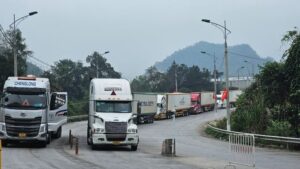 Các công ty xuất nhập khẩu nông sản tại Chi ma Lạng Sơn uy tín