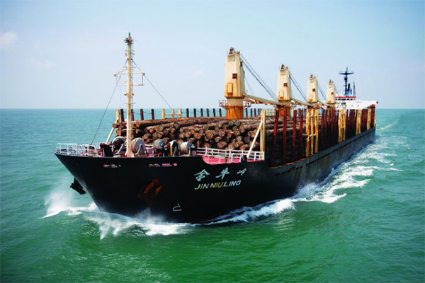 CÁC LOẠI TÀU CHỞ HÀNG TRONG VẬN TẢI BIỂN 